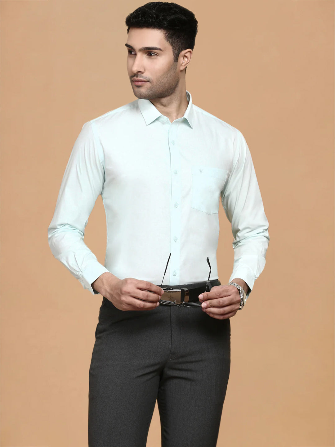 Cotton Spandex Pale Green 2 Way Stretch Smart Fit Shirt LY1