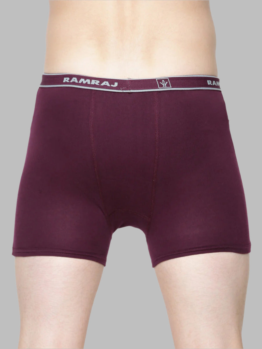 Cotton Back Patti 2 Pocket Trunk Fine Softex (2PCs Pack)-Purple Back view