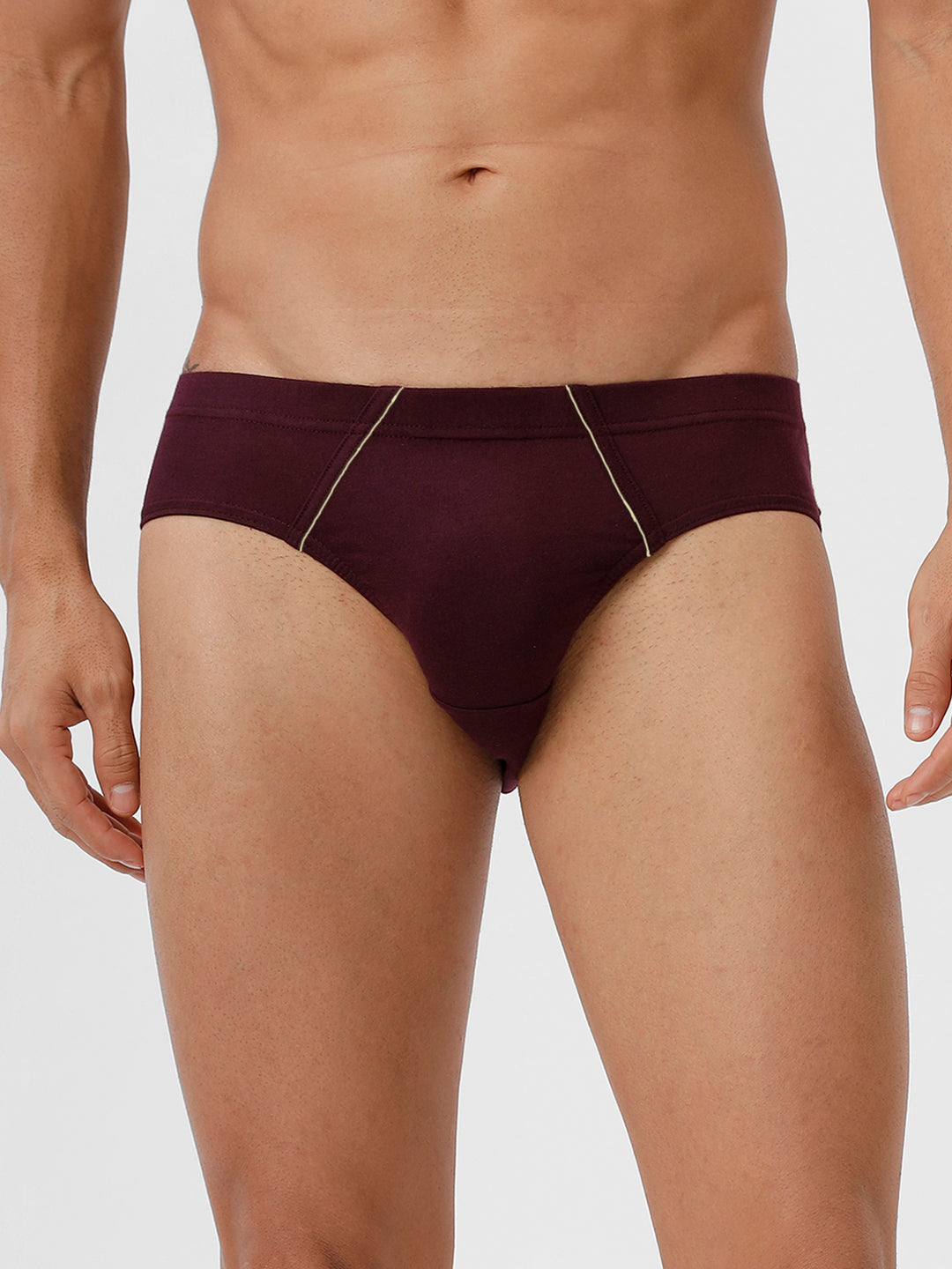 Men 100% Combed Cotton Assorted Colour Inner Elastic Brief Minar Pack of 2