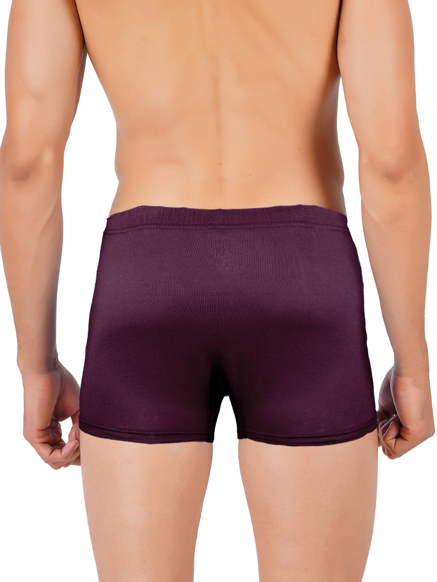 Combed Cotton without Pocket Trunk Inter Elastic Vintrack (2PCs Pack)-Purple Back view