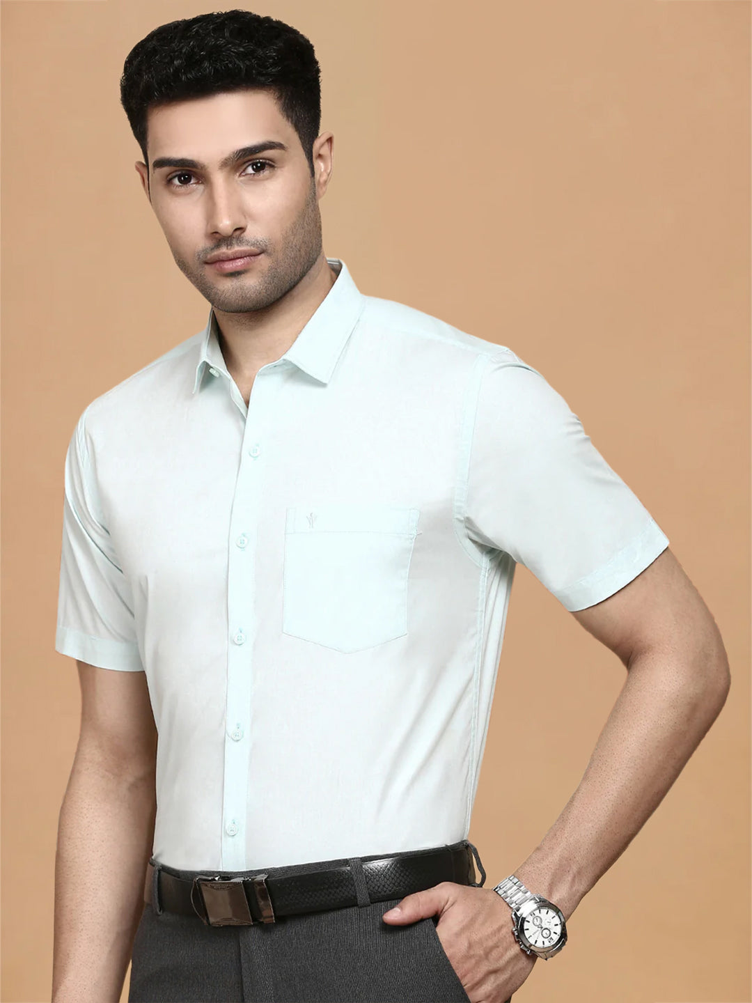 Cotton Spandex Pale Green 2 Way Stretch Smart Fit Shirt LY1