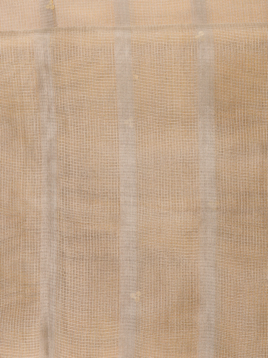 Women Pure Silk Saree Gold with Silver PST01