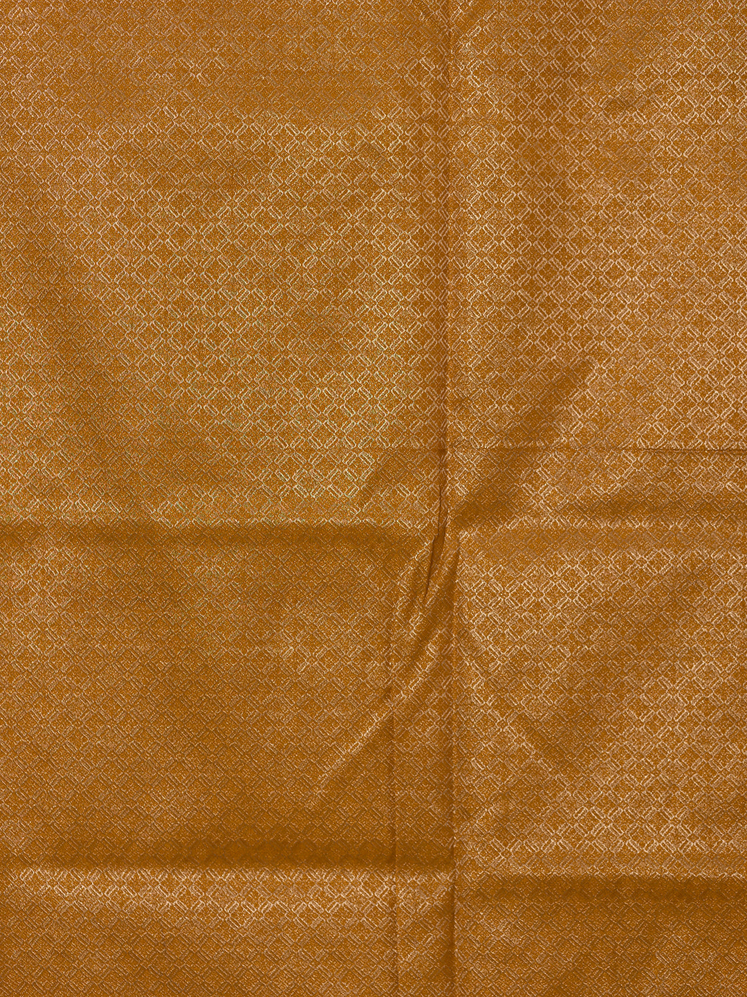 Women Brown Tissue Embroidered Saree TS09