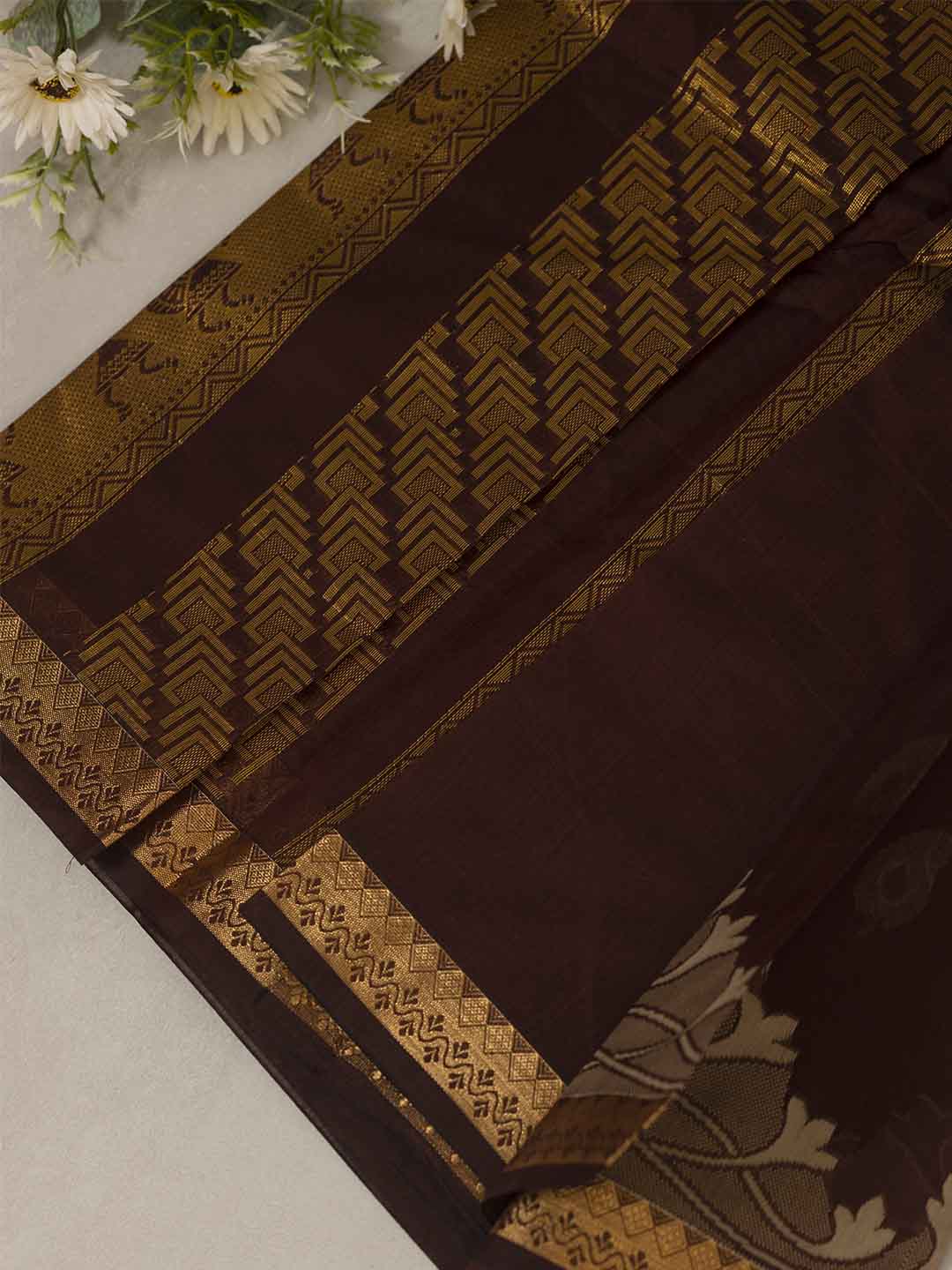 Women Brown Kora Cotton Saree PCS169