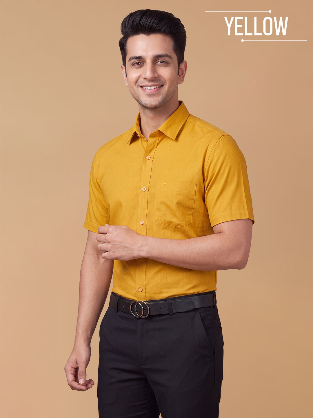 Pick Any 2 - Supima Cotton Half Sleeves Regular Fit Shirts