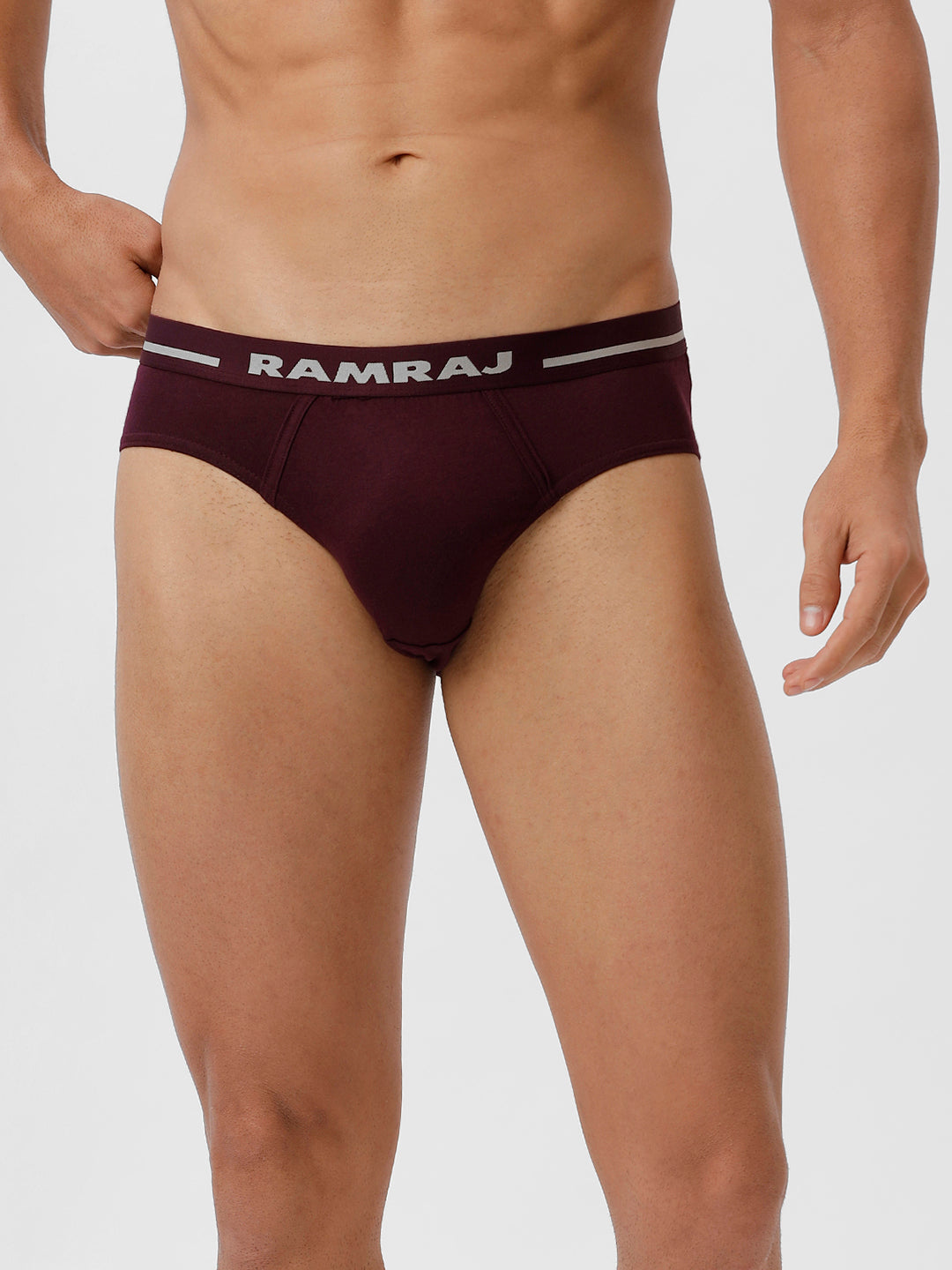 Men Briefs OE 2 Pcs Combo GreyMelange and GrapeWine Suriya